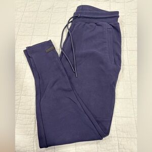 Alphalete Men’s Identity Jogger Purple Indigo Suede Plush Fitted Size Medium